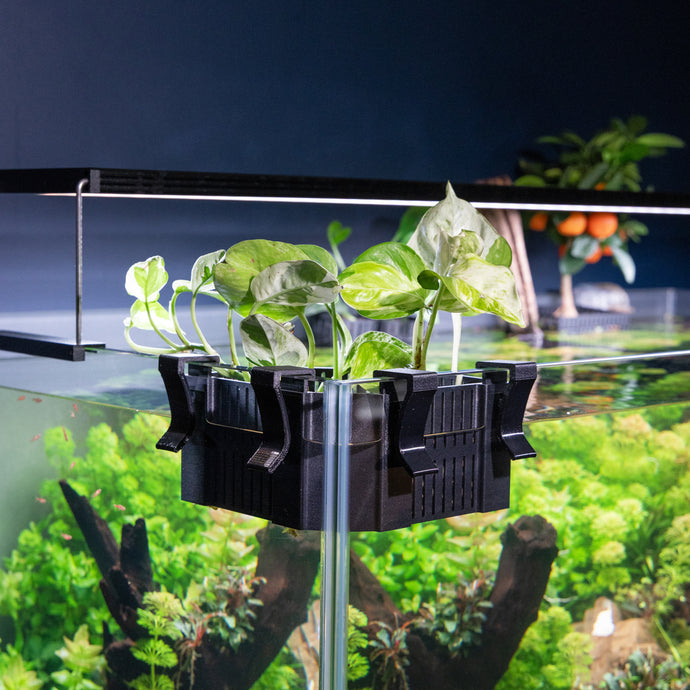 Adjustable Hang on Back Corner Plant Basket for Aquariums