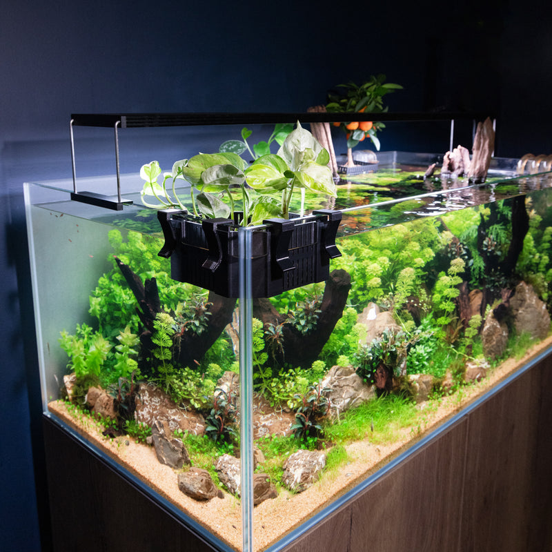 Load image into Gallery viewer, Adjustable Hang on Back Corner Plant Basket for Aquariums
