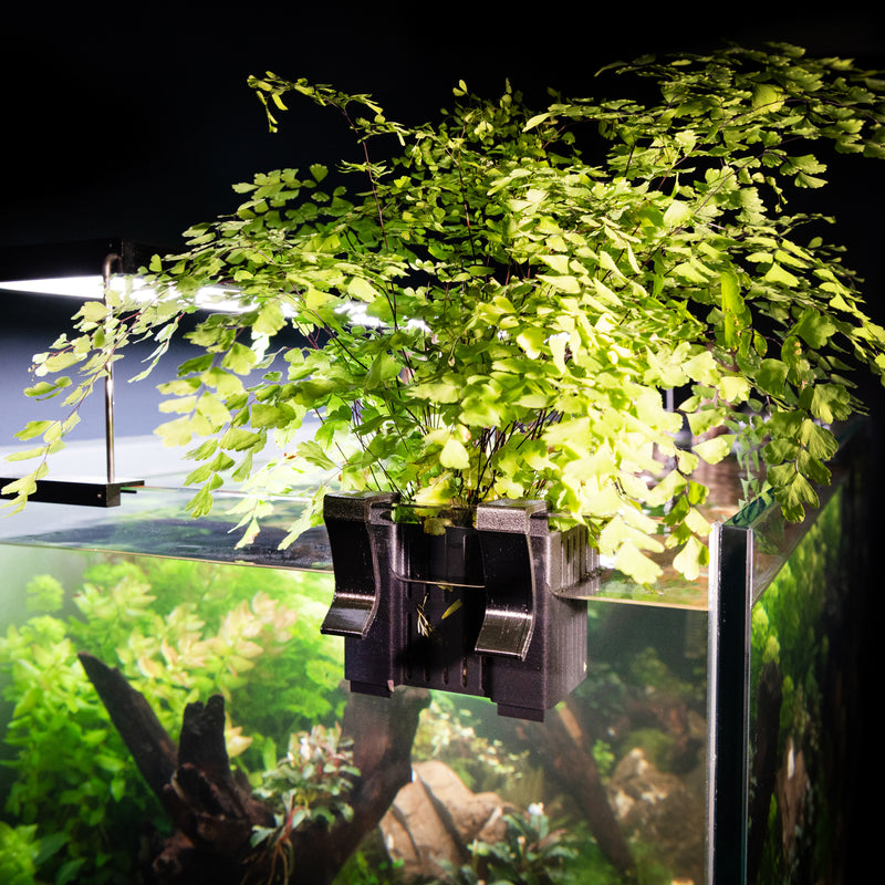 hang on back aquarium planter Adjustable Hang on Back Plant Basket for Aquariums