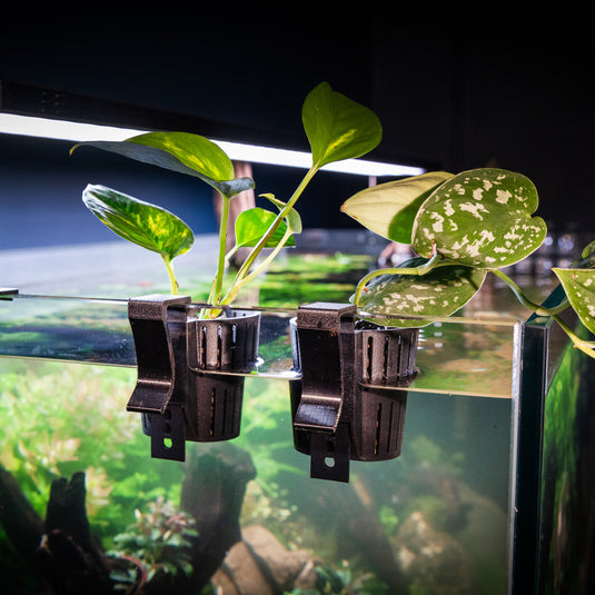 Adjustable Hang on Back Plant Pots for Aquariums - Double Pack