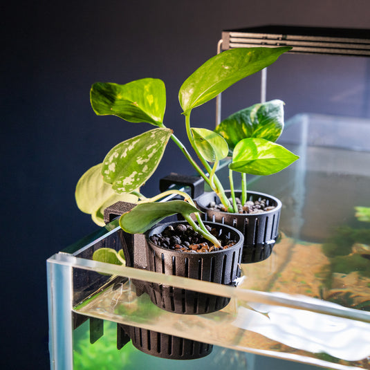 Adjustable Hang on Back Plant Pots for Aquariums - Double Pack