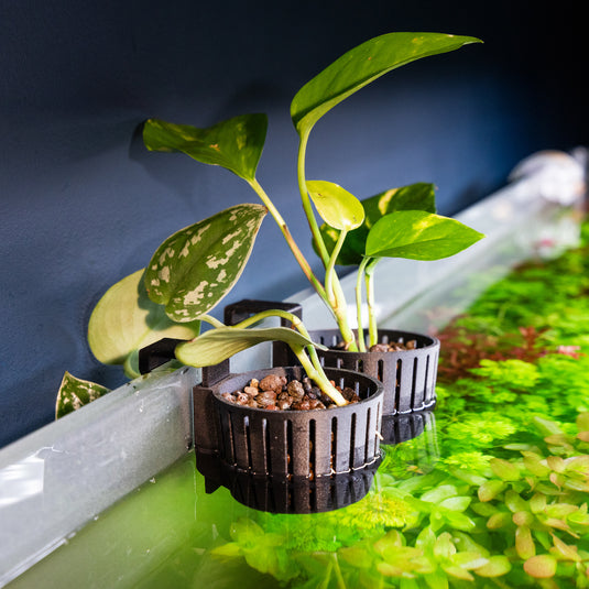 Plant Baskets & Pots for Aquariums