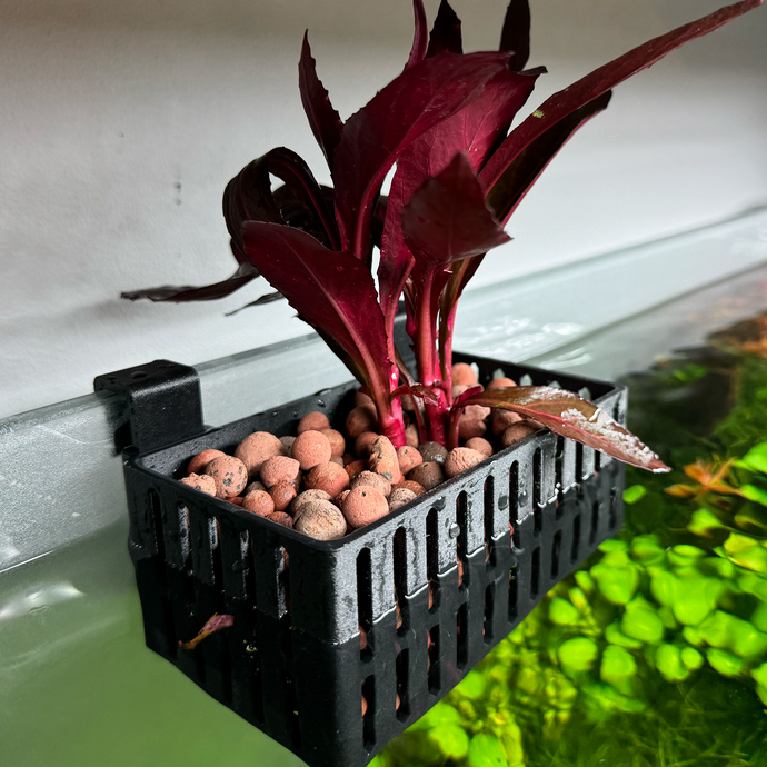 Hang-on-back Plant Basket for Clay Balls