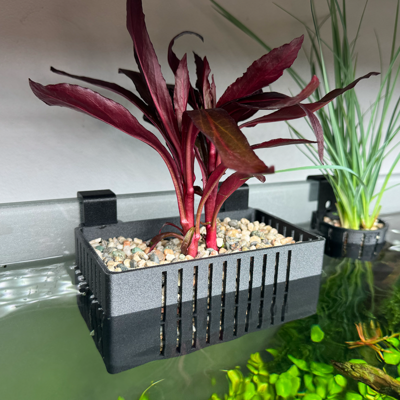 Load image into Gallery viewer, Gravel Hang-on-back Aquaponic Basket
