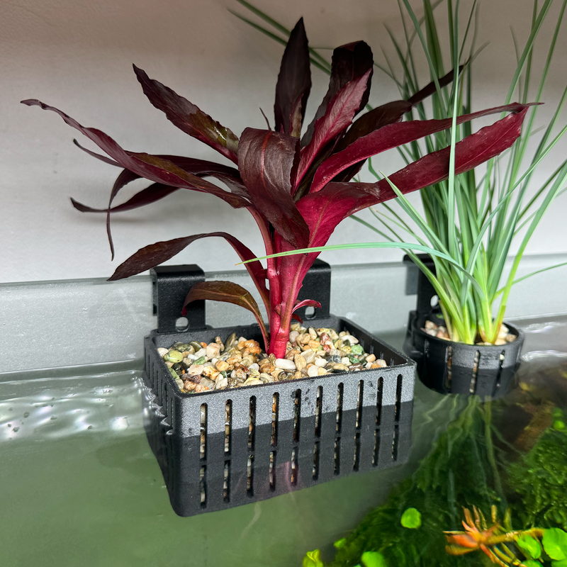 Load image into Gallery viewer, Gravel Hang-on-back Aquaponic Basket
