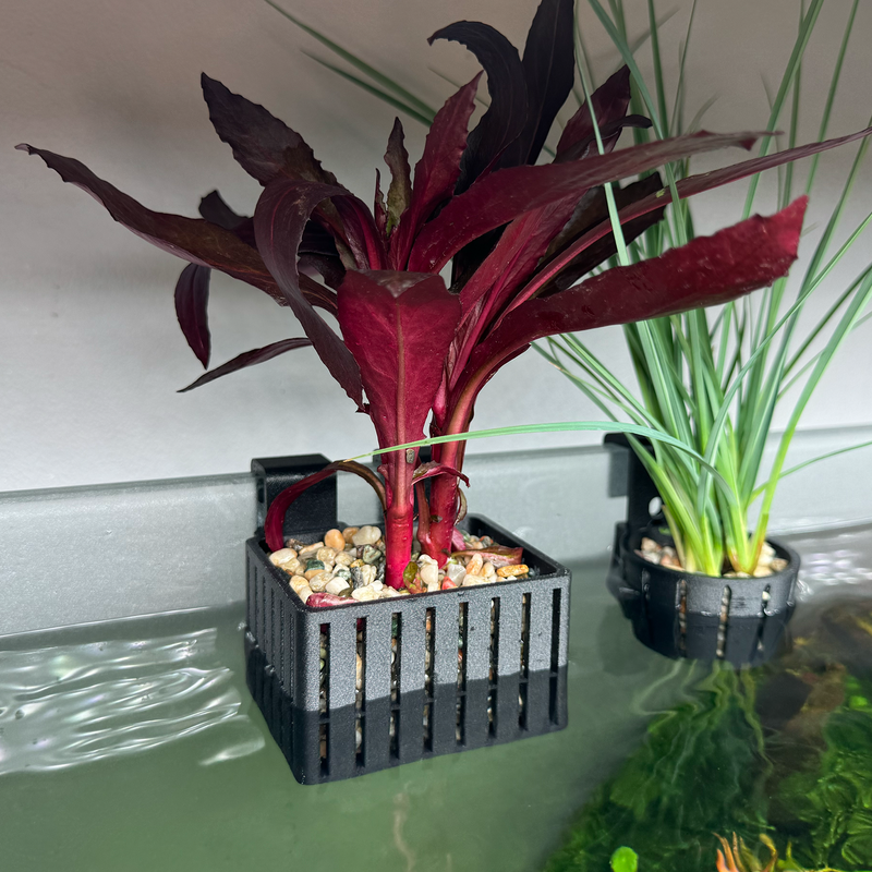 Load image into Gallery viewer, Gravel Hang-on-back Aquaponic Basket
