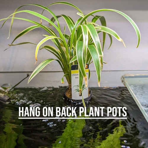 Hang-on-back Plant Pots